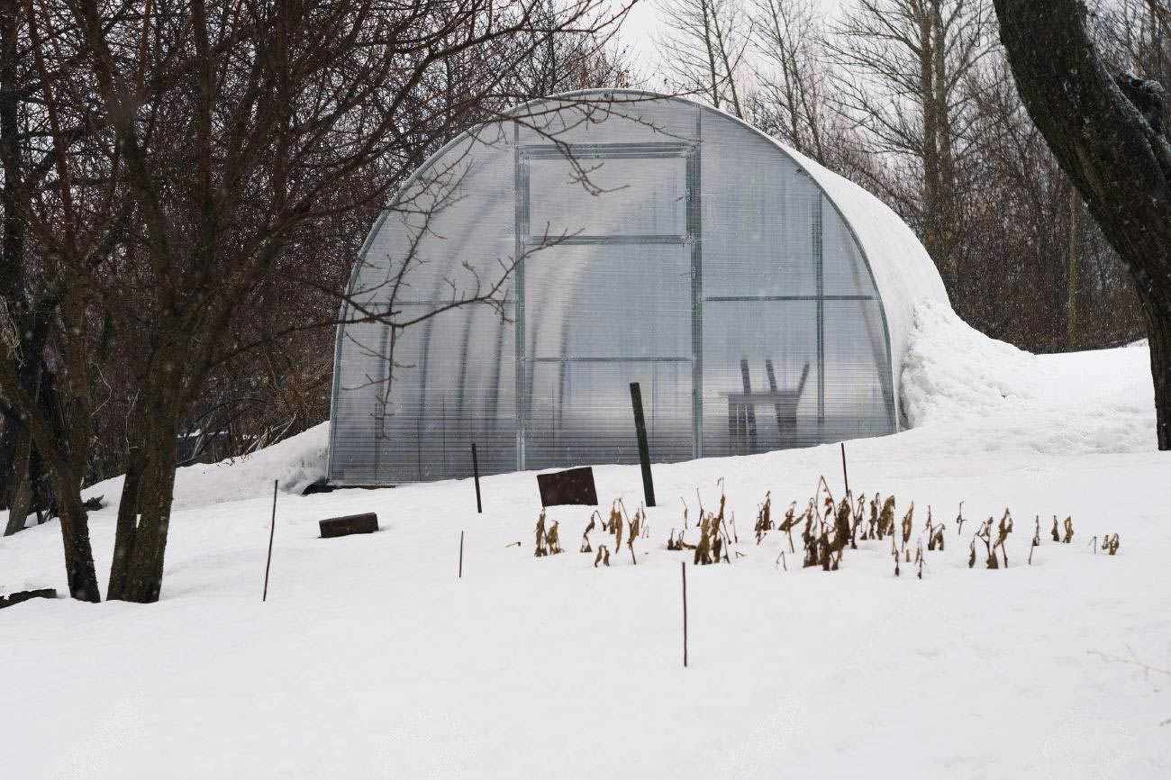 Фотография продукта